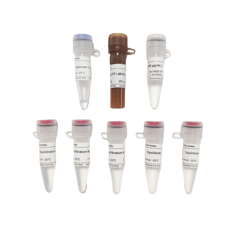 Guasceína (FITC) Kit de detección de apoptosis de celda de tono utilizada para la sección de parafina Sección de tejido congelado.