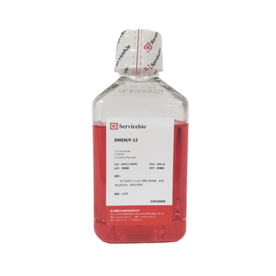G4611-500ml DMEM / F-12 Cultivo de células embotellado mediano 500 ml con piruvato de sodio