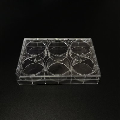 CCP-6 Labware 6 Wells Petri plato TC Cultura de células tratadas placa