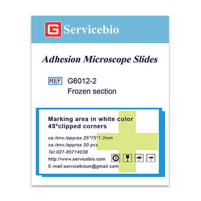 Microscopio de adherencia Diapositiva de diapositivas Sección congelada Diapositivas