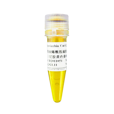 G2048-500UL 500UL Poliacrylamida Gel Página superior Gel amarillo tinte