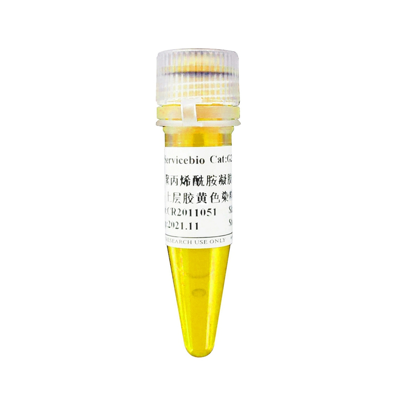 G2048-500UL 500UL Poliacrylamida Gel Página superior Gel amarillo tinte