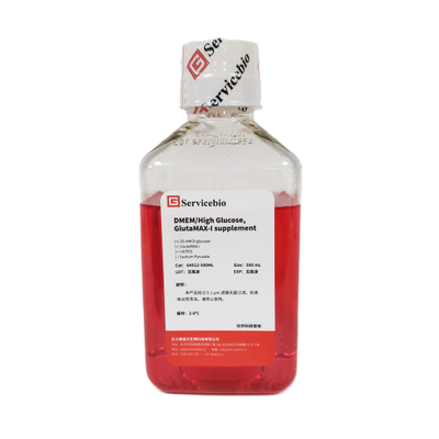 DMEM / High Glucosa, Suplemento Glutamax-I, Hepes 500ml