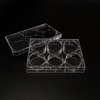 Platos de 6 pocillos Petri con plato de cultivo de tejido tapa plástico estéril de poliestireno transparente