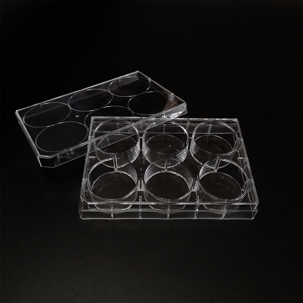 Platos de 6 pocillos Petri con plato de cultivo de tejido tapa plástico estéril de poliestireno transparente